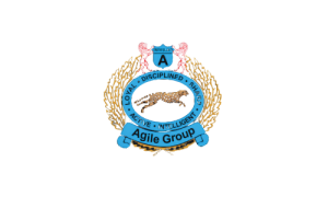 agile group