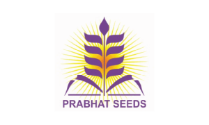 prabhat seeds